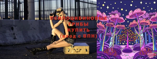 бошки Зерноград