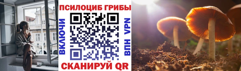 Псилоцибиновые грибы ЛСД  цена   Нововоронеж 